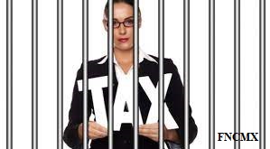 U.S. Tax Payer, Also Criminally Liable?